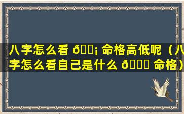 八字怎么看 🐡 命格高低呢（八字怎么看自己是什么 🐘 命格）